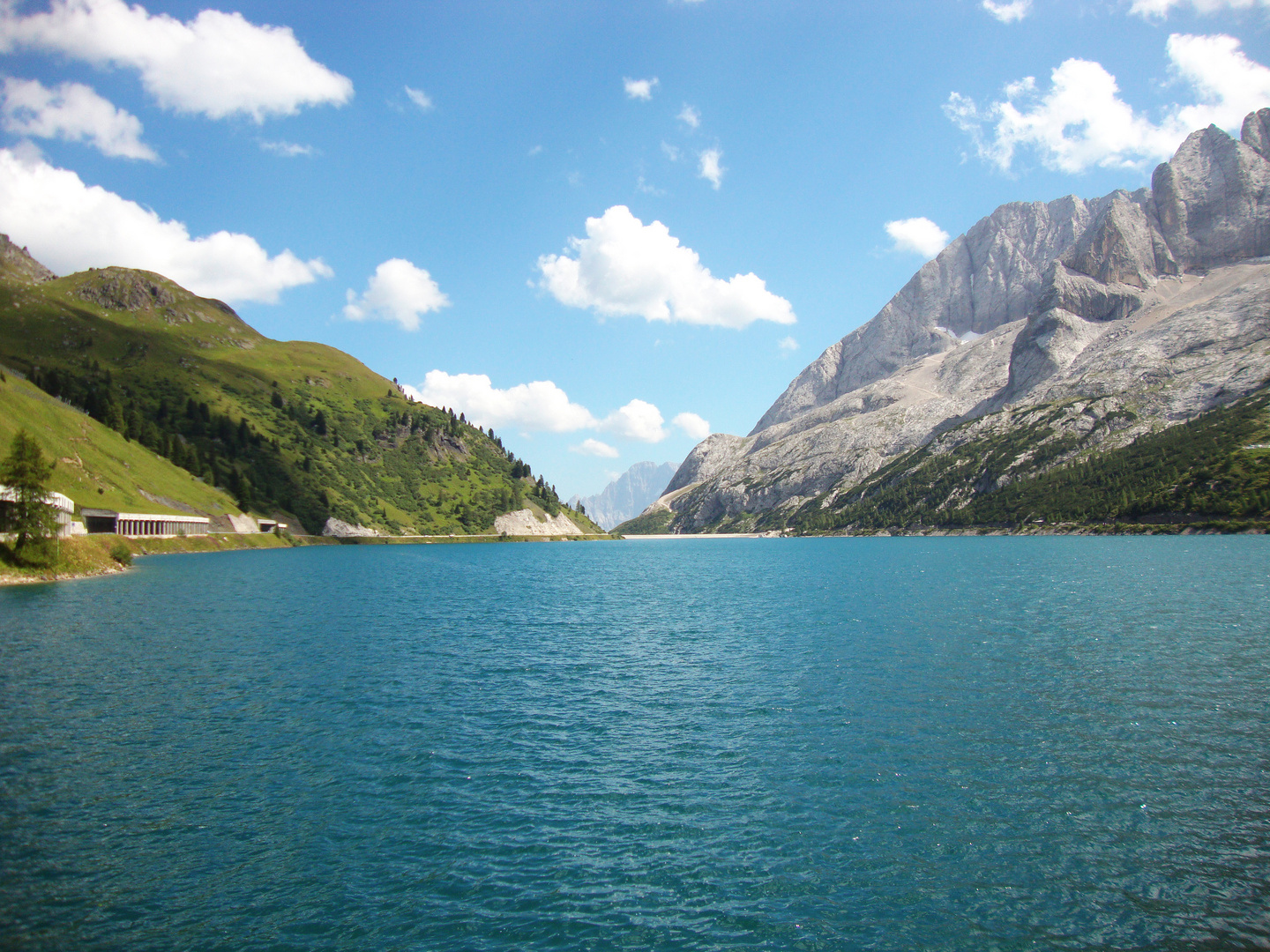 Tra grigio e verde...