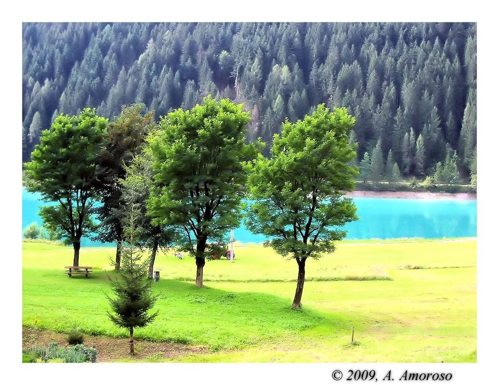 Tra i Boschi del Cadore 2