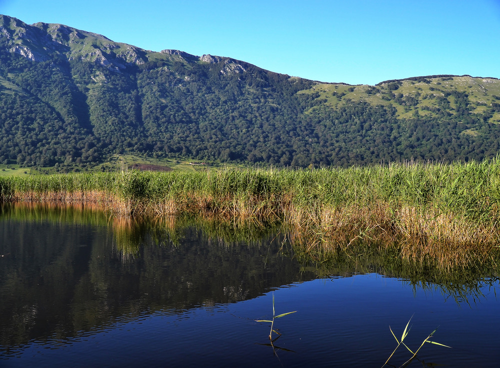 Tra i canneti del lago.