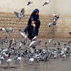 Tra i colombi di Damasco