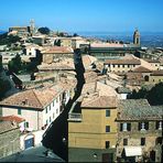 TRA I MERLI DELLA ROCCA,MONTALCINO