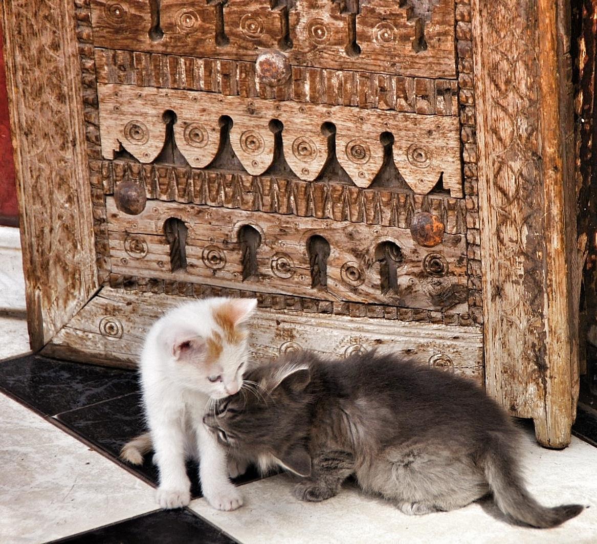 tra il bianco e il nero... infinite sfumature di grigio!