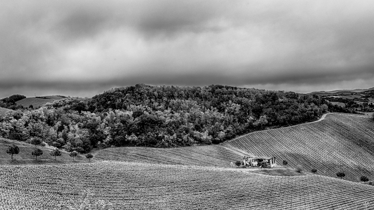 Tra il colto e l'incolto