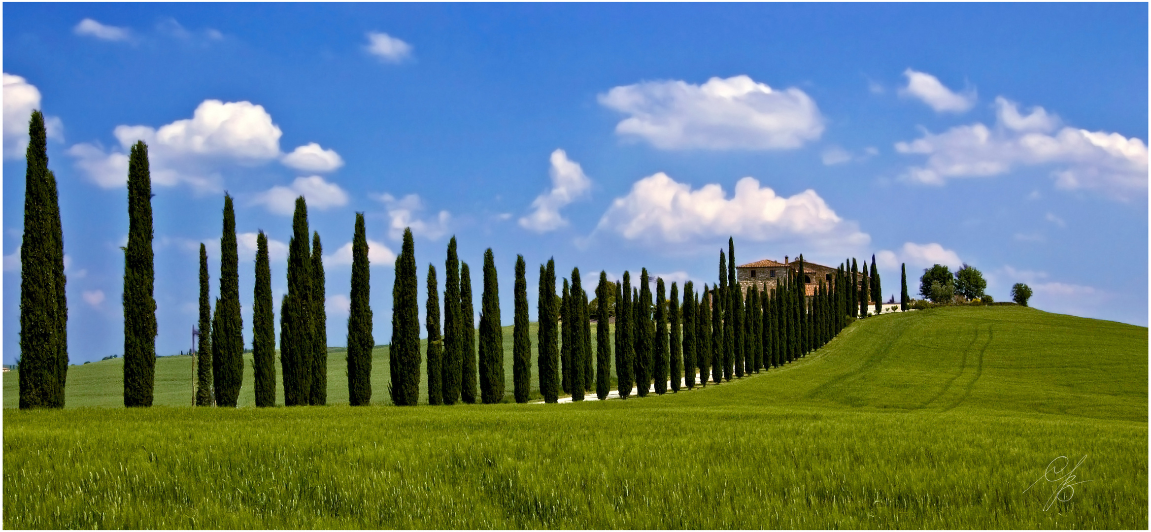 Tra il verde e l'azzurro .....