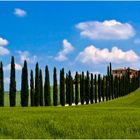 Tra il verde e l'azzurro .....