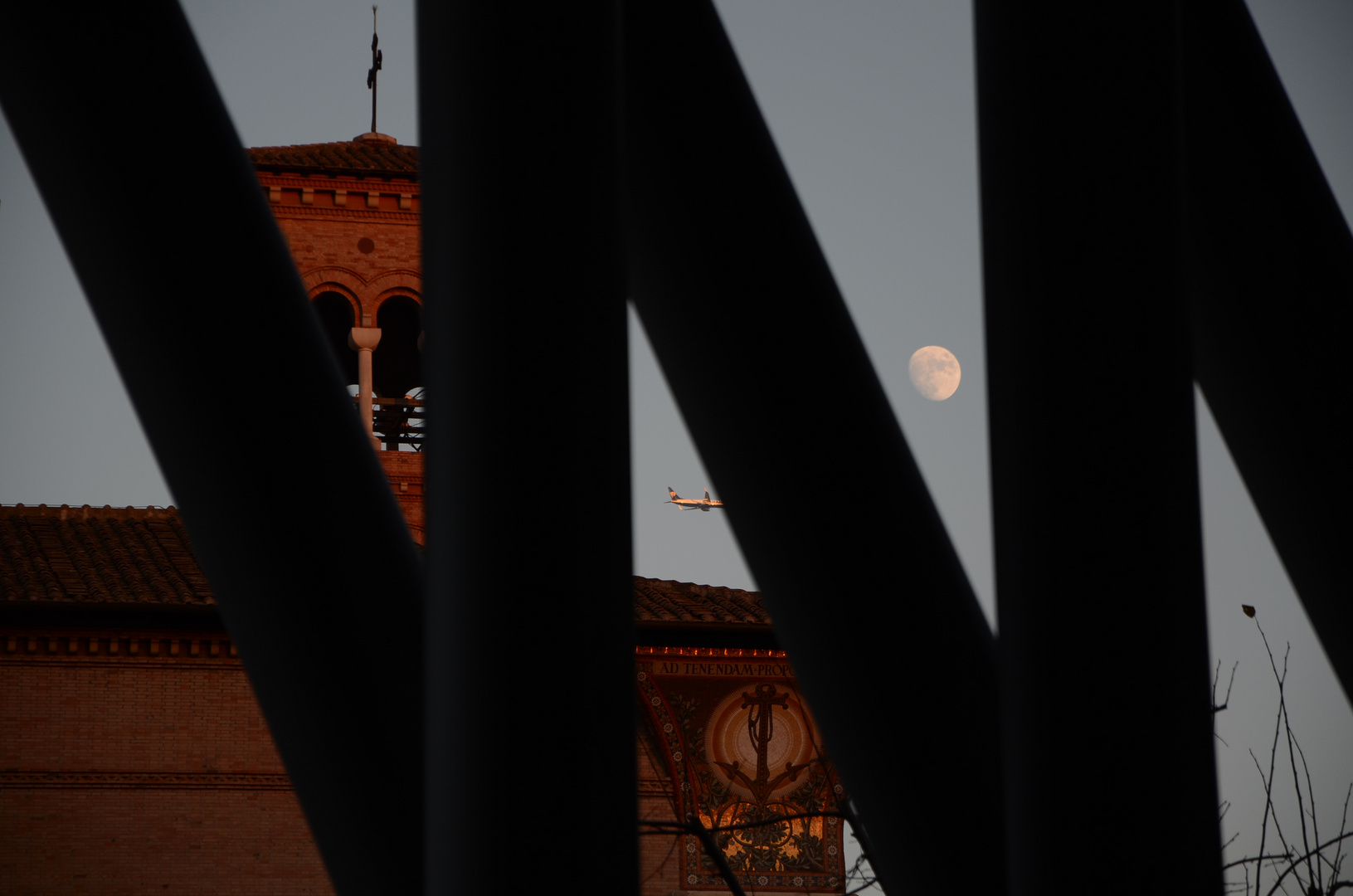 Tra le colonne del MAXXI