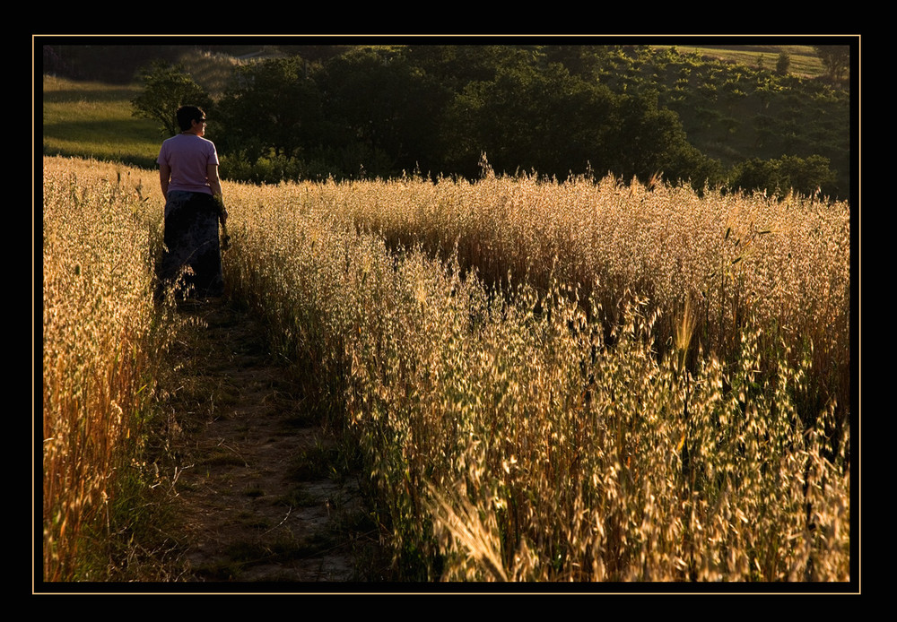 tra le dolci colline del sannio...