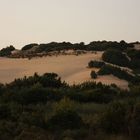 Tra le dune