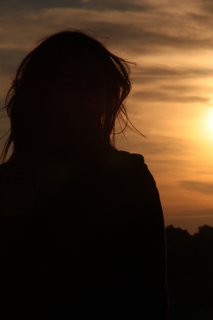 tra le dune al tramonto