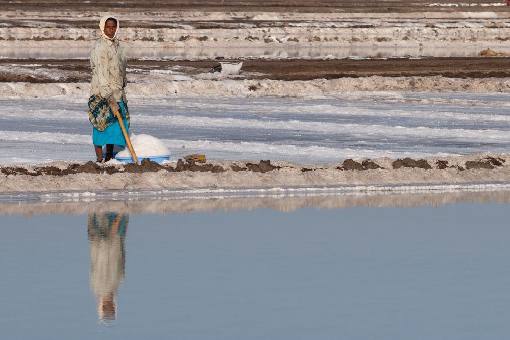 Tra le saline