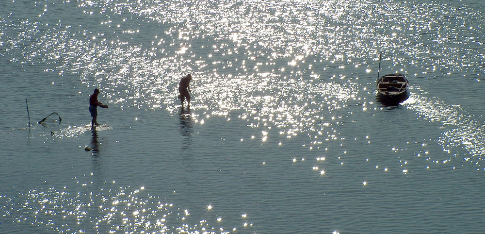 tra le stelle della laguna