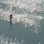 tra le stelle della laguna