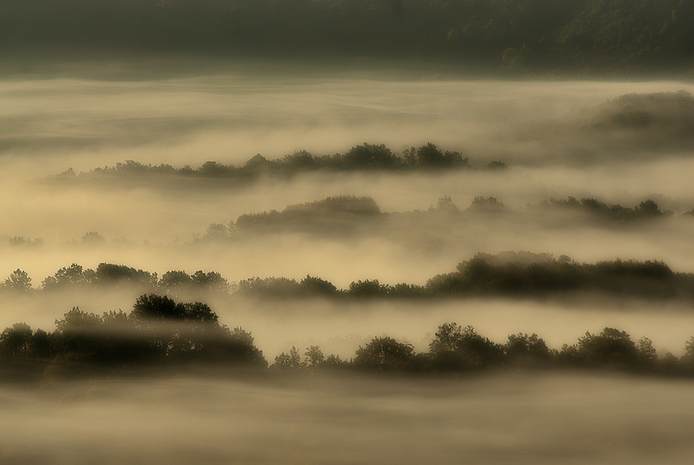 Tra luce e tenebre