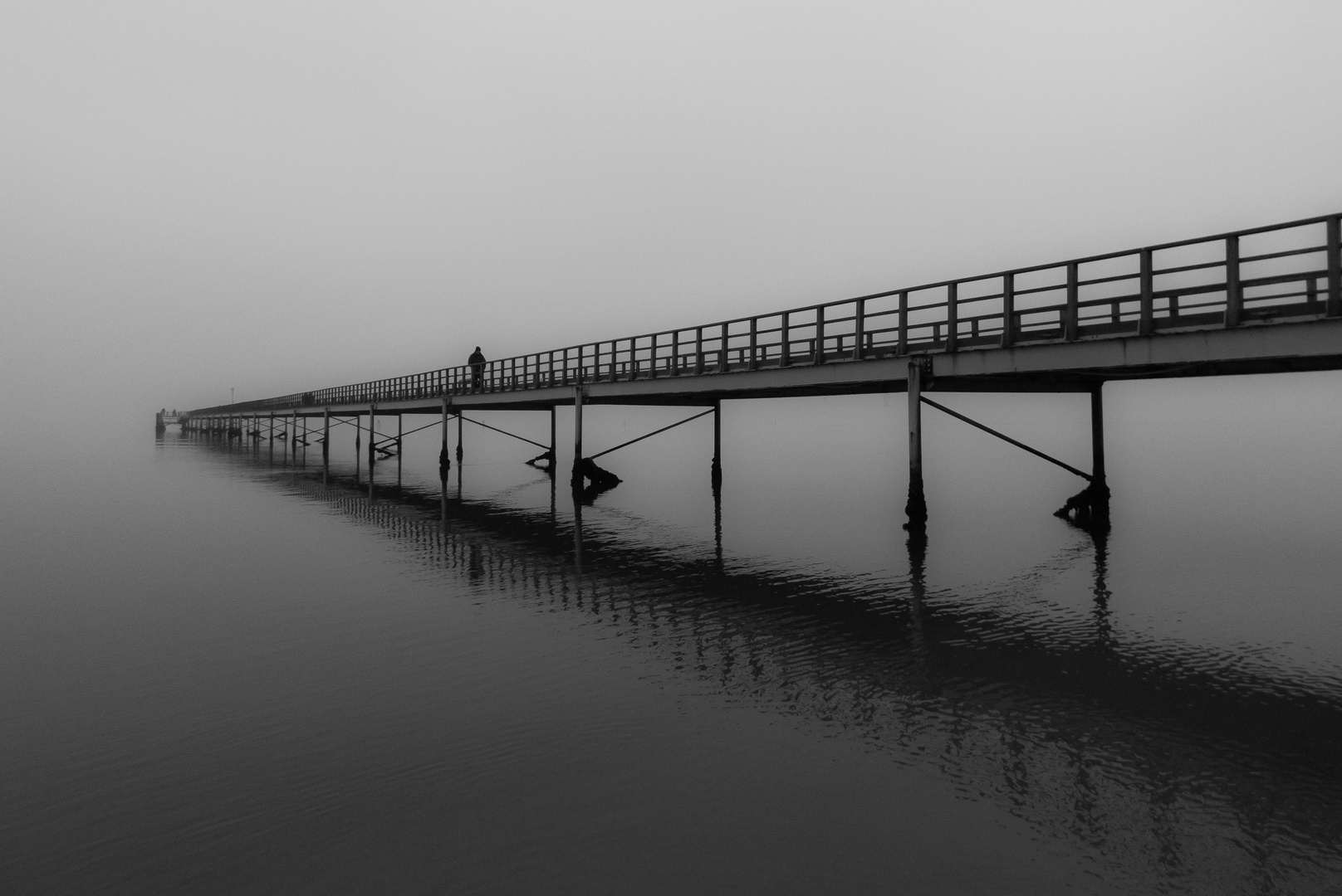 tra mare e nebbia