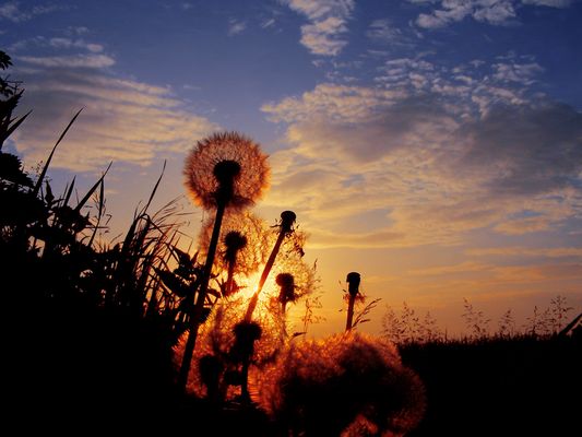 ...tra me e il sole...