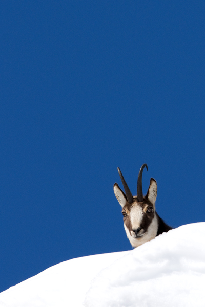 Tra neve e cielo...........