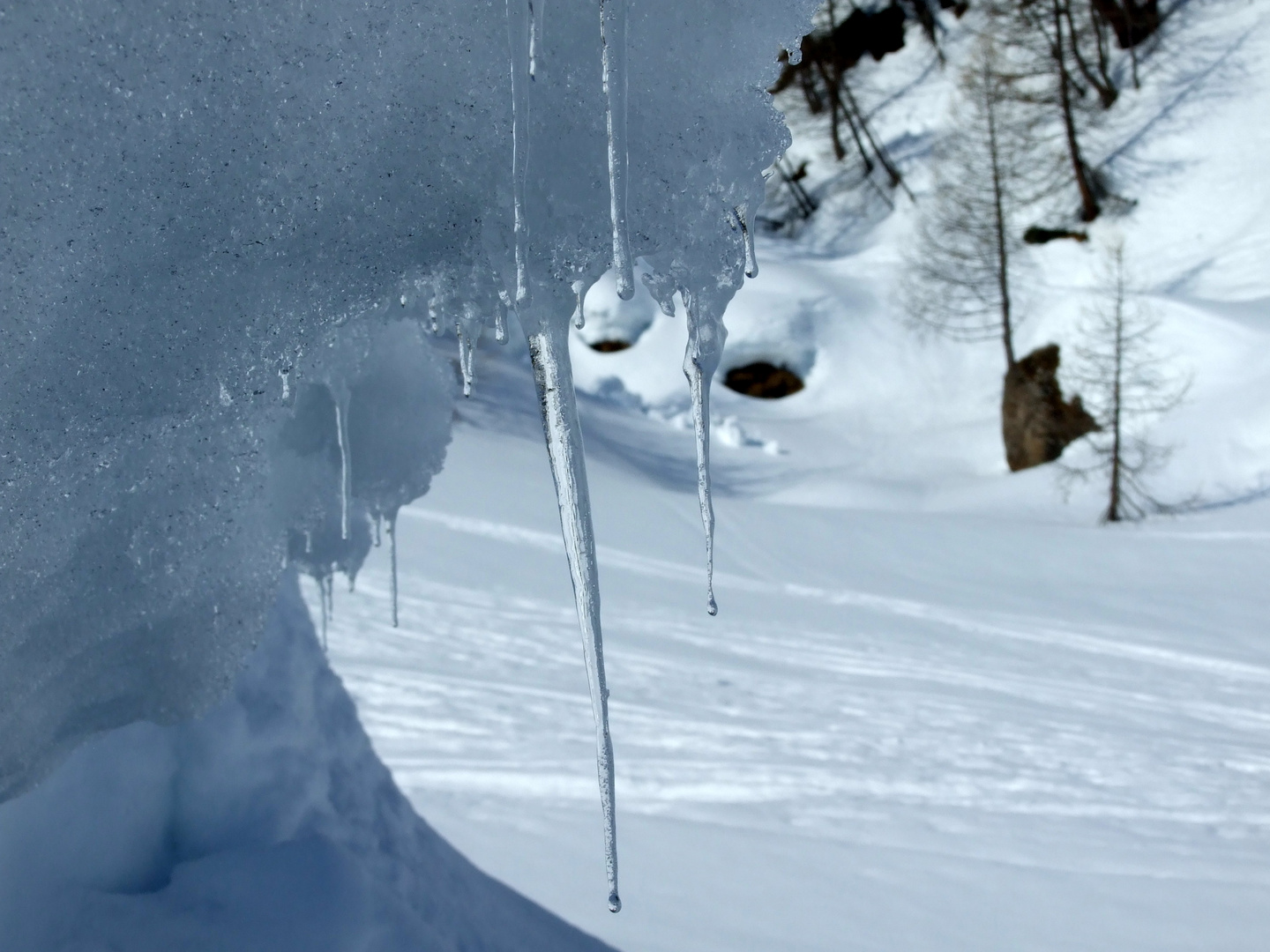 tra neve e ghiaccio