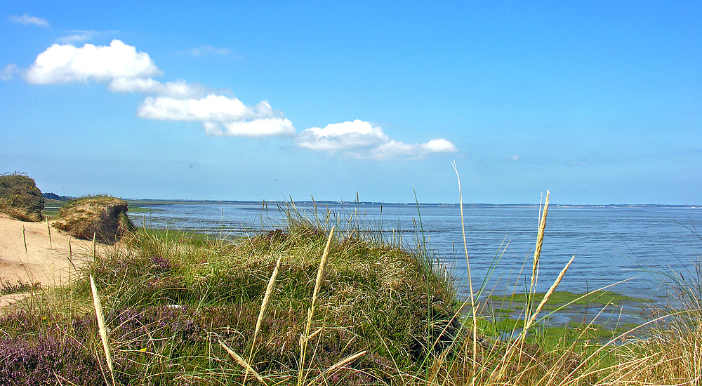 Tra-ri-ra ... der Sommer, der ist da :-)