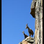 Tra rocce e cielo...