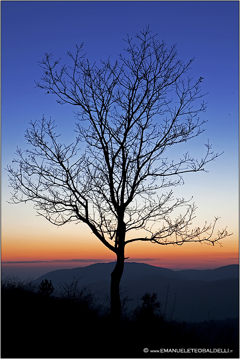 Tra terra e cielo