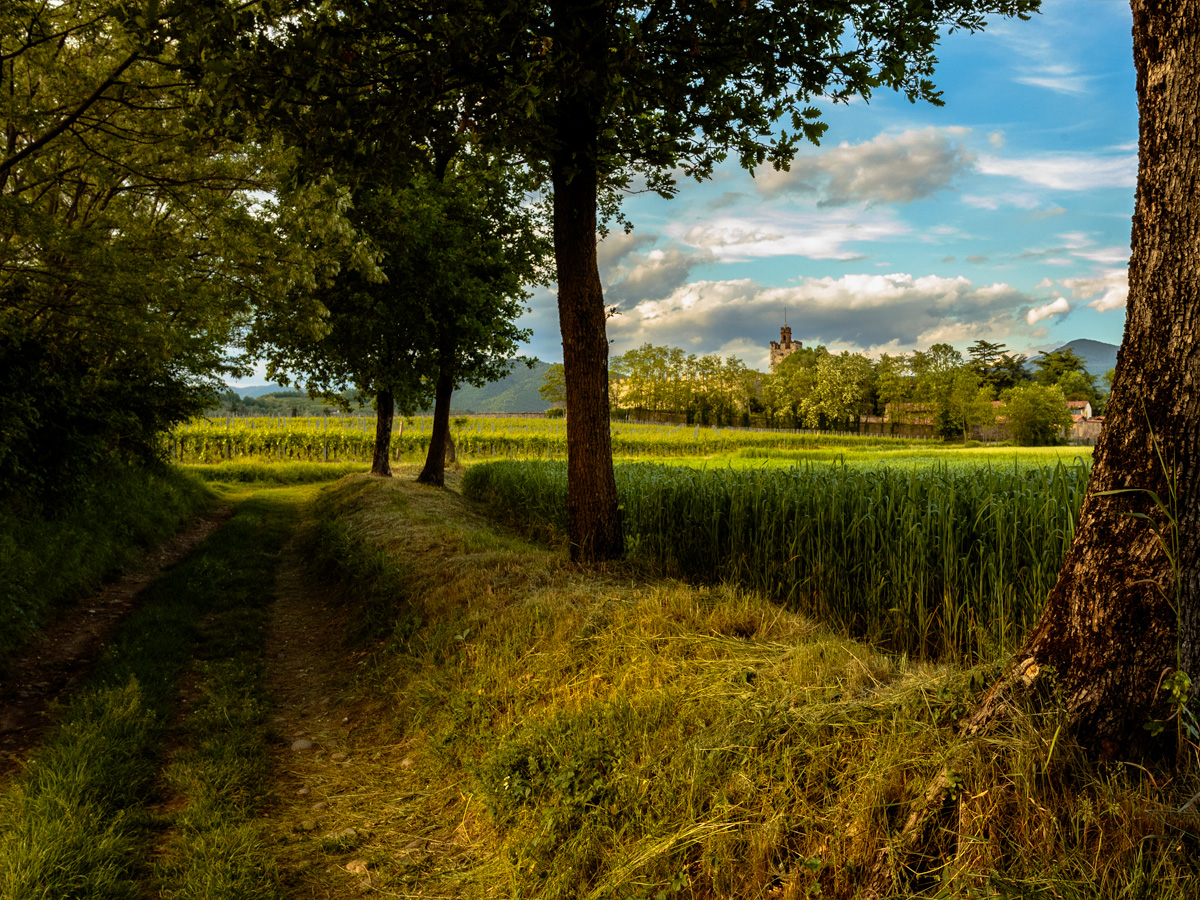 Tra vigne frumento e castelli