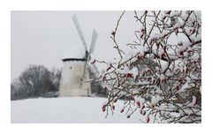 Traarer Mühle im Winter