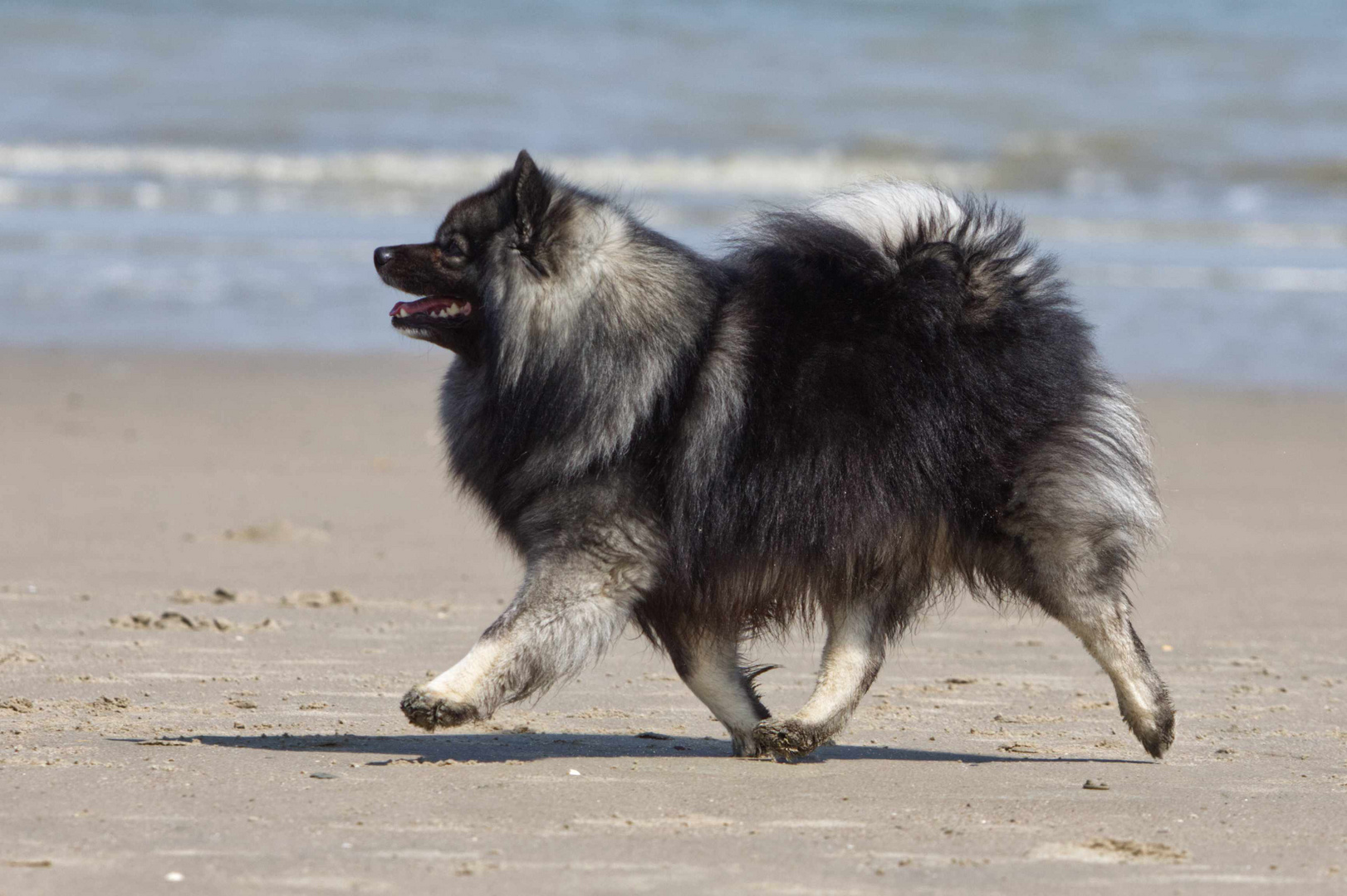 Trab am Strand