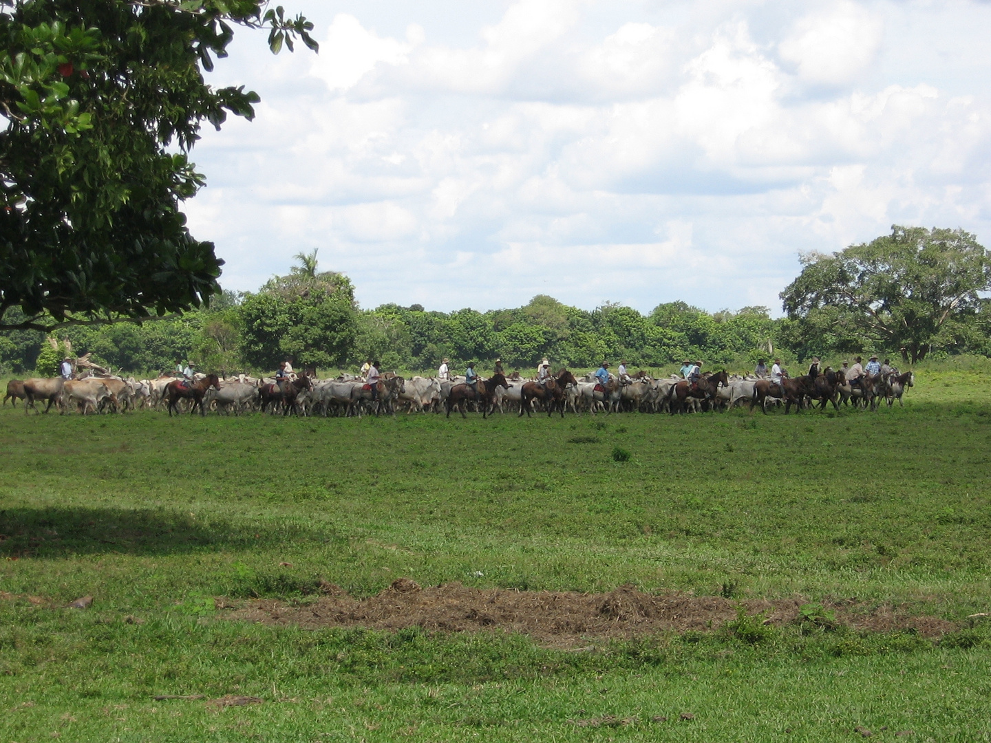 Trabajo de Llano