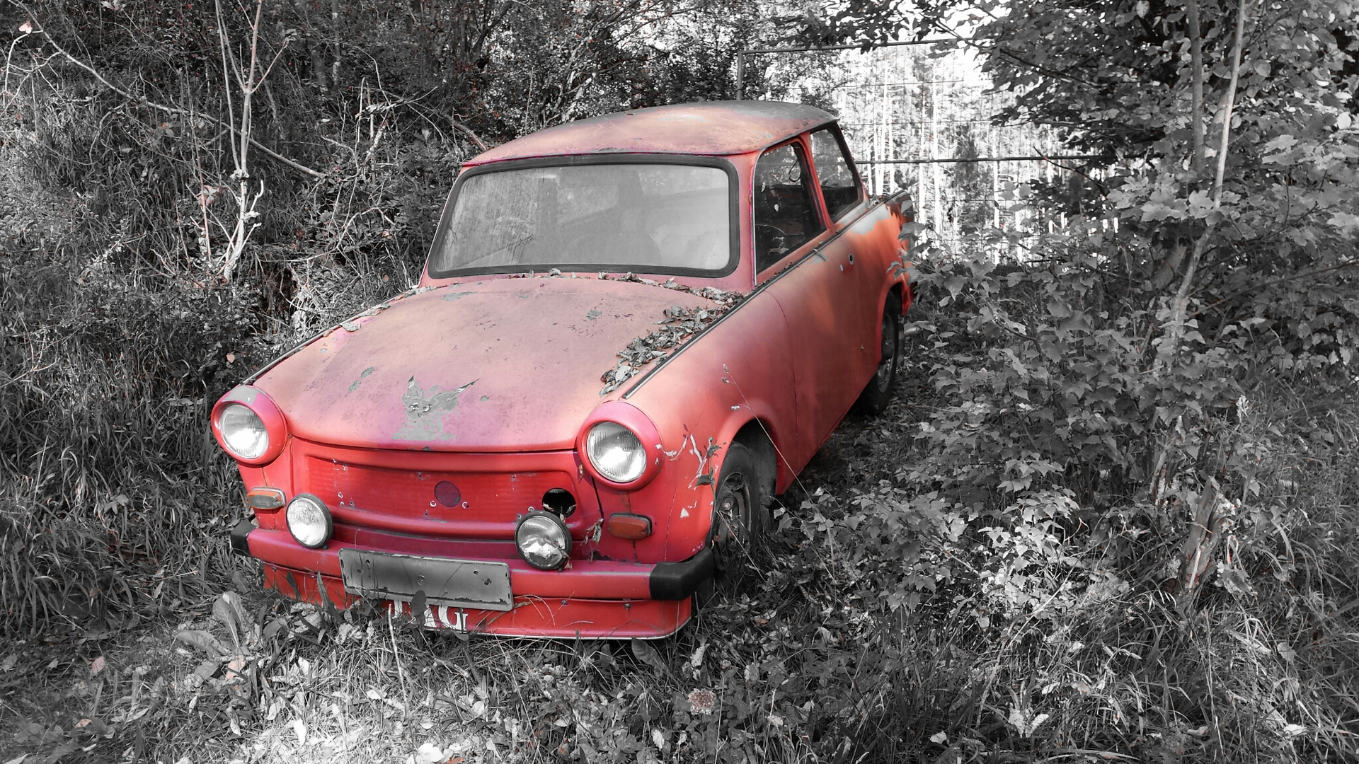 Trabant