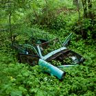 Trabant im Wald