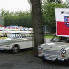 Trabant in Aarau 2012 -  3D Intertlaced Bild an einem Polfilter Monitor oder 3D TV anschauen.