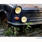 Trabbi im Ruhestand