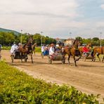 Traben in Baden (10) 