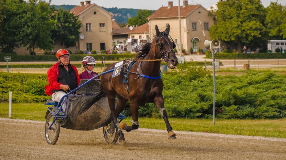 Traben in Baden (6)