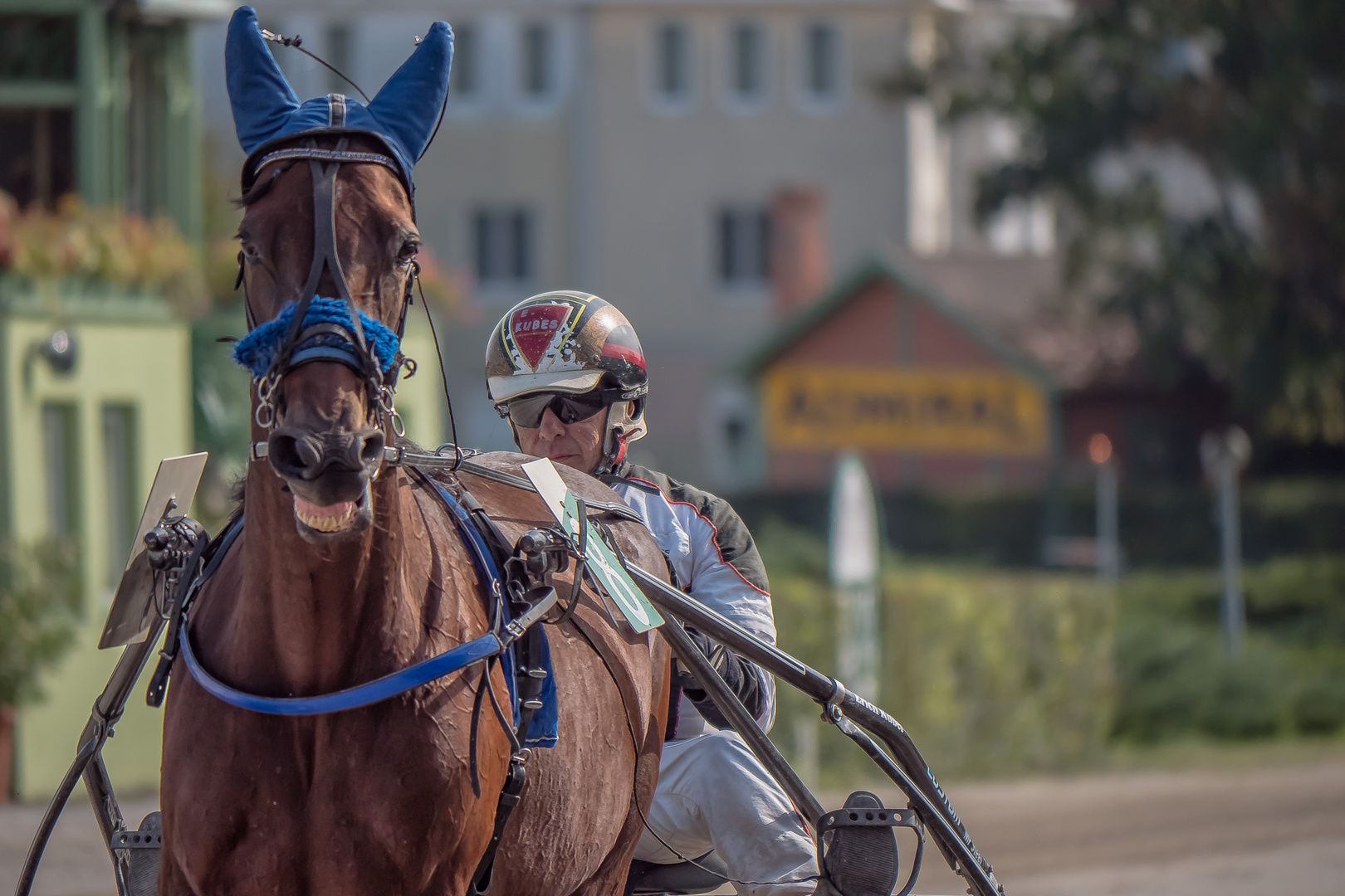 Traben in Baden (77) 