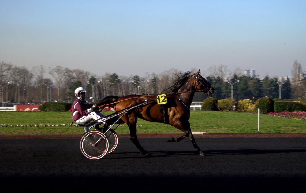 TRABEN IN VINCENNES PARIS