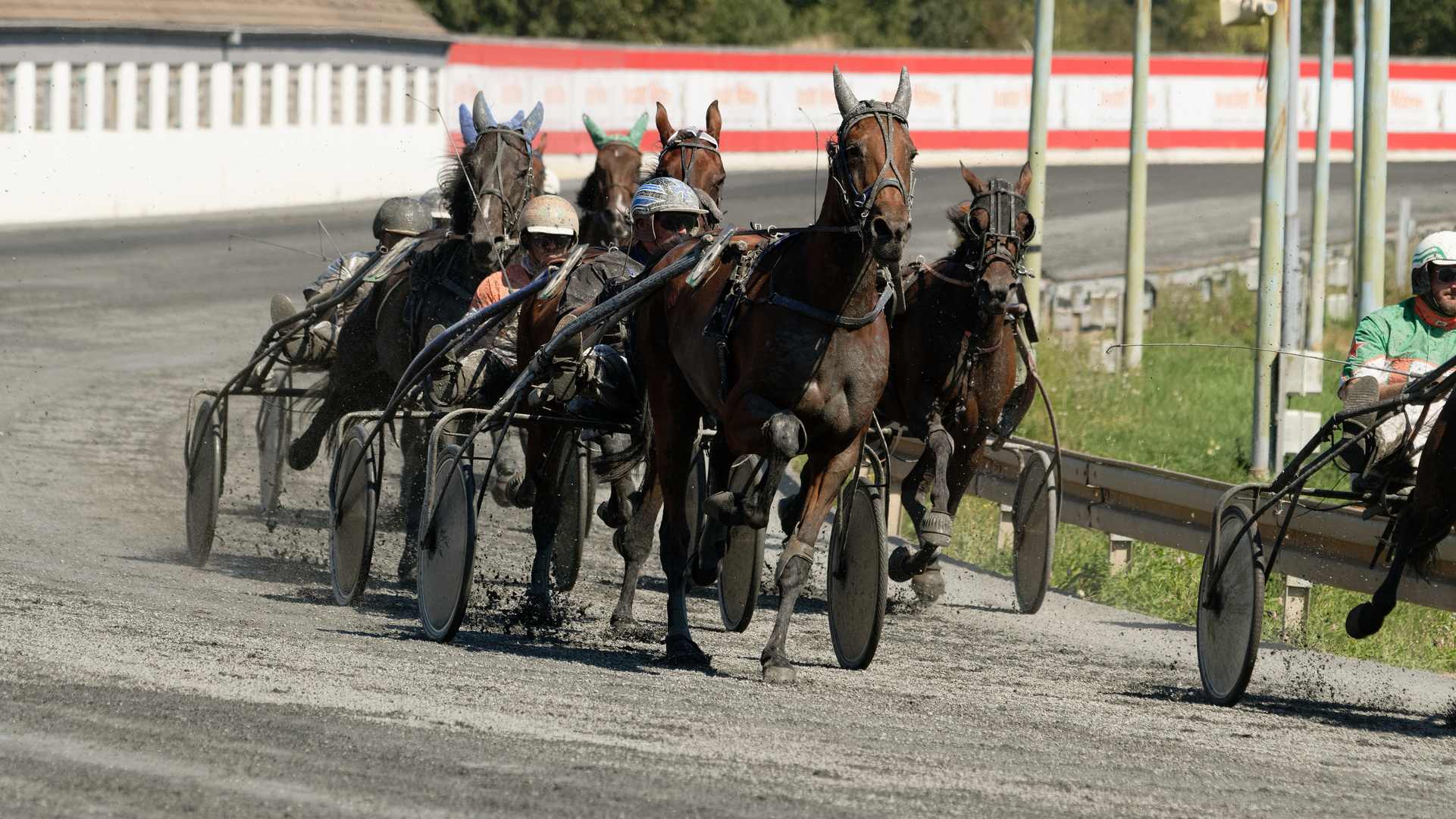 Traber-rennen in MG am 24.08.2019