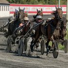 Traber-rennen in MG am 24.08.2019