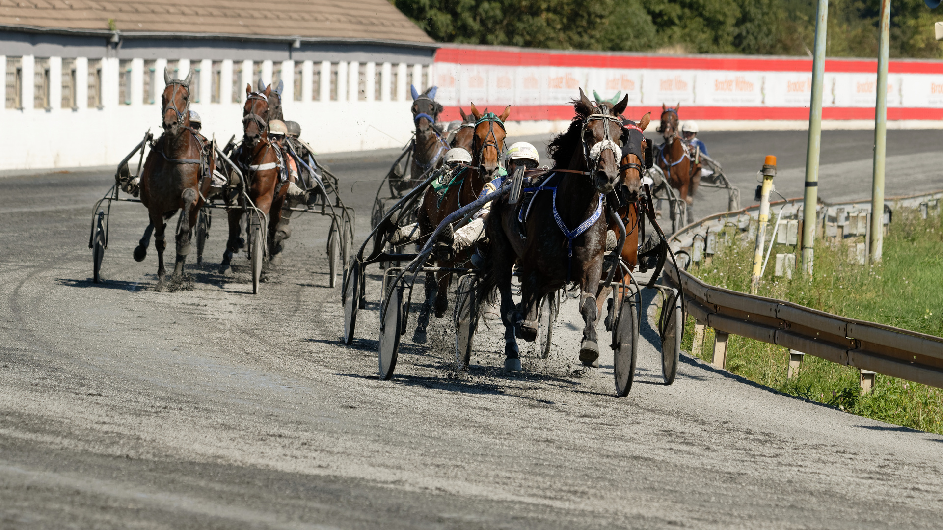 Traber-rennen in MG am 24.08.2019