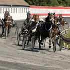 Traber-rennen in MG am 24.08.2019