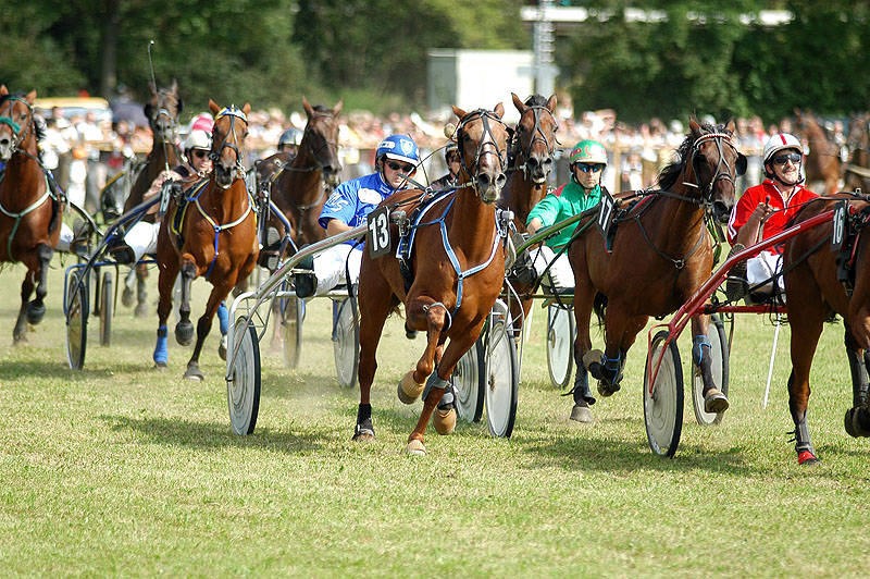 Traberrennen beim Barthelmarkt 2007