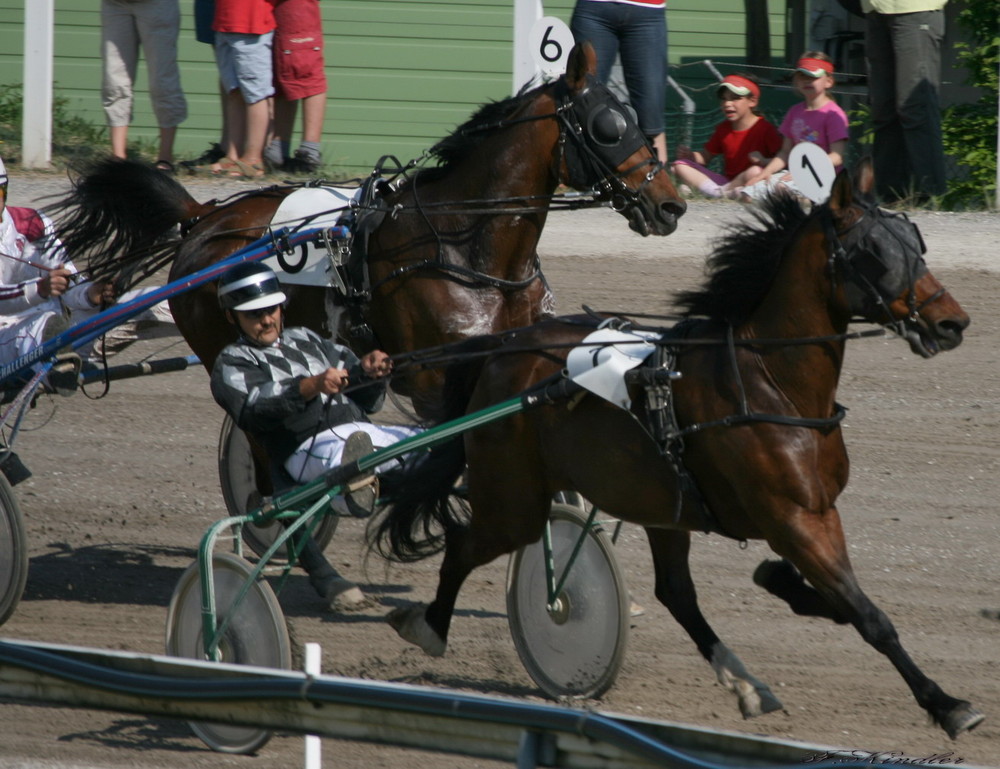 Traberrennen St. Jakob Basel