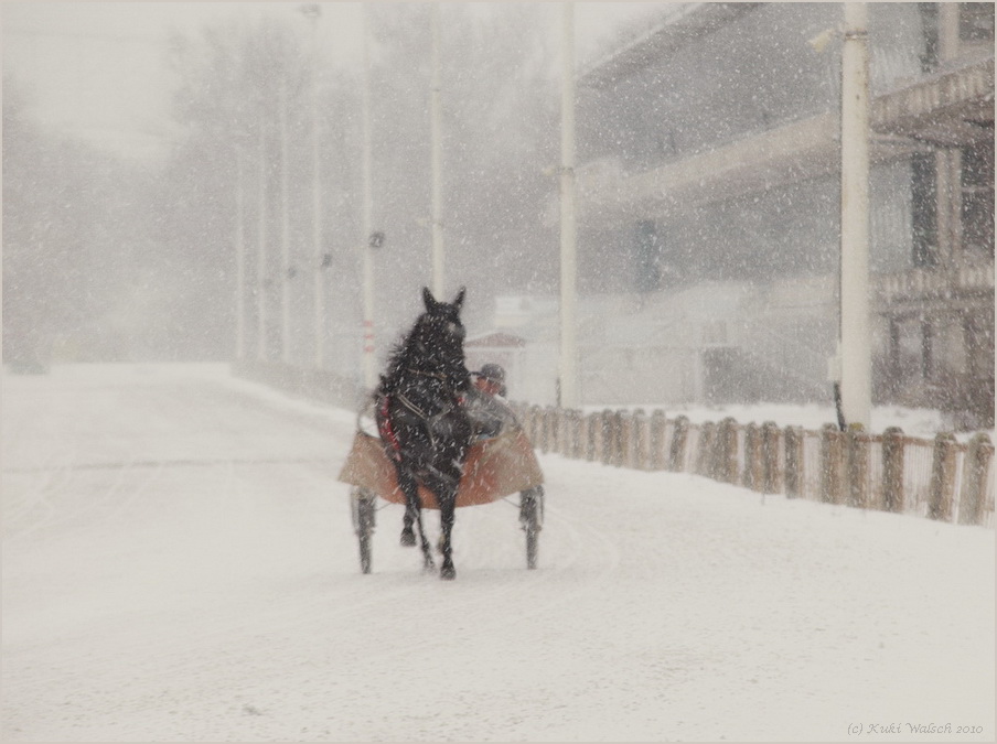 Trabertraining bei Schneefall