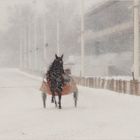 Trabertraining bei Schneefall