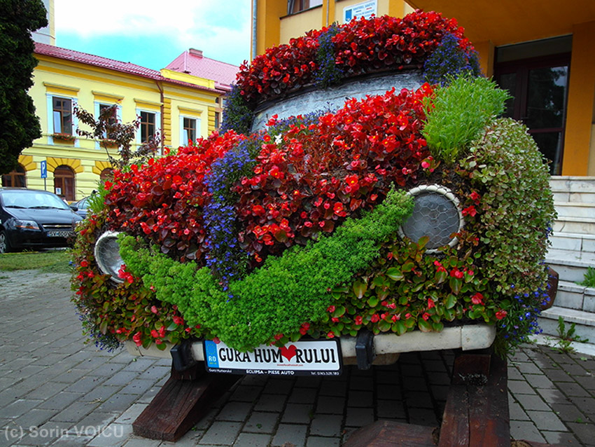 Trabi Flower Power