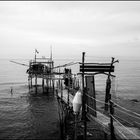 Trabocco _2