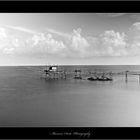 Trabocco di Punta Aderci