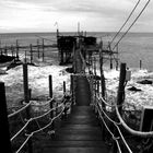 Trabocco di Punta Cavalluccio.