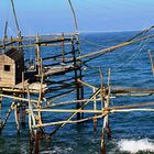 TRABOCCO TURCHINO