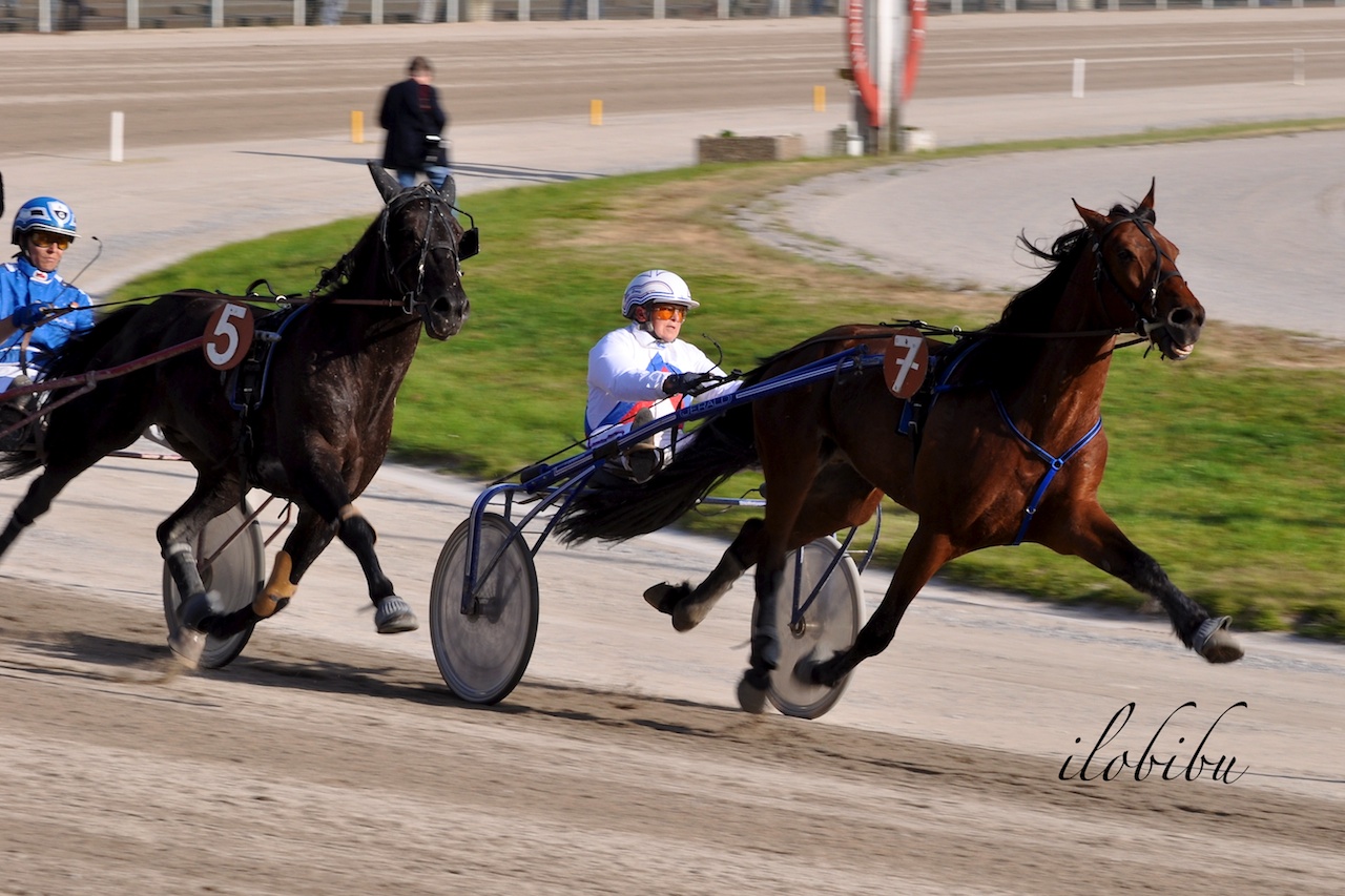 Trabrennbahn Dinslaken